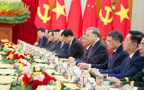 组图：苏林与习近平总书记、国家主席举行会谈 - ảnh 3