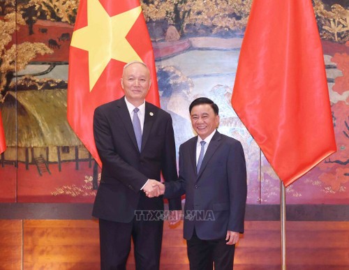 越中继续拓展双边合作机制 - ảnh 1