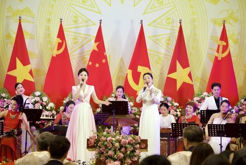 组图：越南领导人为中共中央总书记、国家主席习近平举行隆重欢迎宴会 - ảnh 5