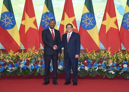 越南-埃塞俄比亚推进对话，促进经济、贸易和投资合作 - ảnh 1
