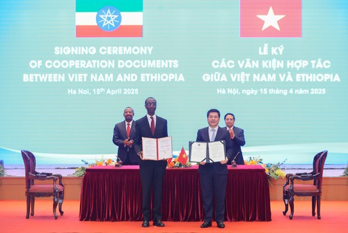 越南-埃塞俄比亚推进对话，促进经济、贸易和投资合作 - ảnh 3