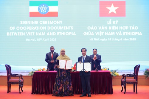 越南-埃塞俄比亚推进对话，促进经济、贸易和投资合作 - ảnh 2