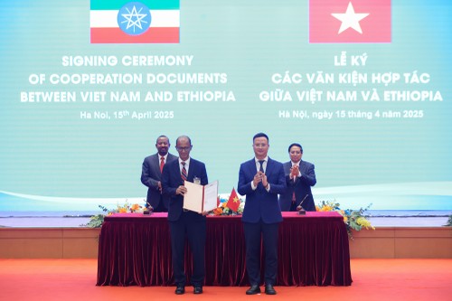 越南-埃塞俄比亚推进对话，促进经济、贸易和投资合作 - ảnh 4