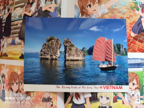 听众来信摘录：习近平访越广受听众关注 - ảnh 3