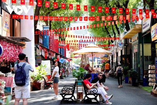 胡志明市张灯结彩，热烈庆祝4·30重大节日 - ảnh 5