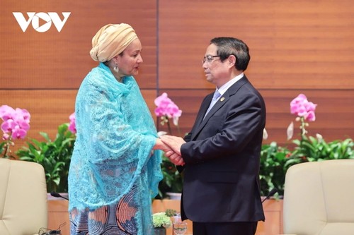 越南是国际社会积极和负责任的成员 - ảnh 2