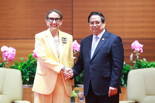 越南为成功举办UNCTAD第十六届部长级会议做好准备 - ảnh 1