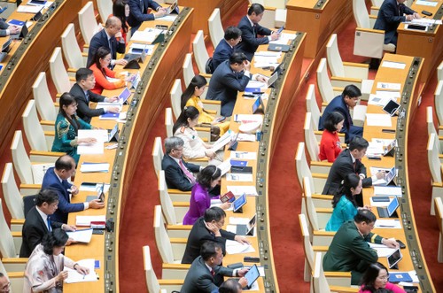 组图：第十五届国会第九次会议开幕 - ảnh 6