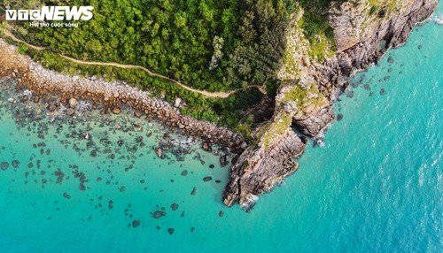 龙鳞角的原始之美及其神秘故事 - ảnh 2