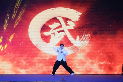 “汉语桥”——沟通语言   传播越中友谊 - ảnh 14