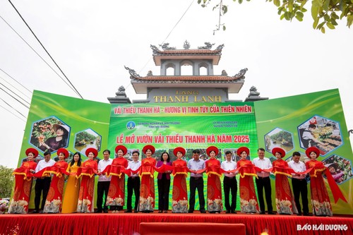 海阳省清河县：早熟荔枝迎来丰收季 - ảnh 2