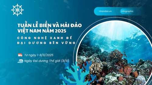 2025年越南海洋岛屿周：连接技术、统一政策、迈向蓝色海洋 - ảnh 1