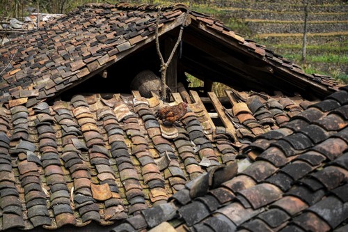 程墙土屋：河江山林里充满活力的民间建筑 - ảnh 1