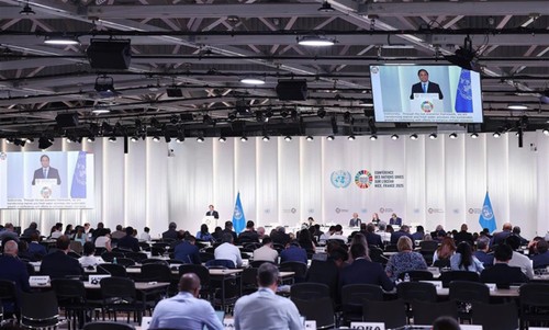 越南出席《公海协定》相关条约活动 - ảnh 2