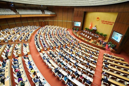 评论：国会十五届九次会议具有历史意义 - ảnh 3