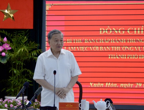 苏林实地考察胡志明市两级地方政府模式 - ảnh 3