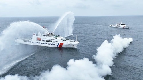 越南反对外国船只在越南专属经济区和大陆架内非法活动 - ảnh 1