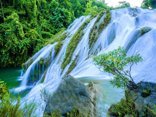 到宣光省板巴瀑布体验“森林浴”、欣赏越北山林之美 - ảnh 1