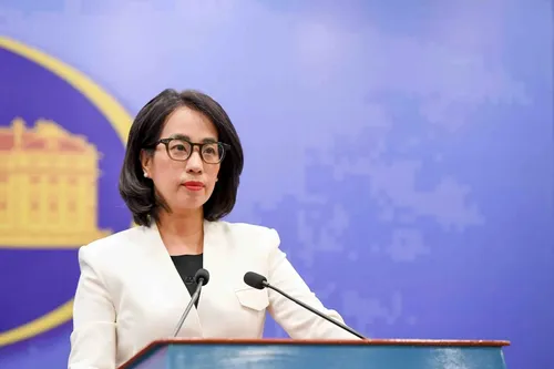 越南呼吁各方尊重1982年《联合国海洋法公约》 - ảnh 1