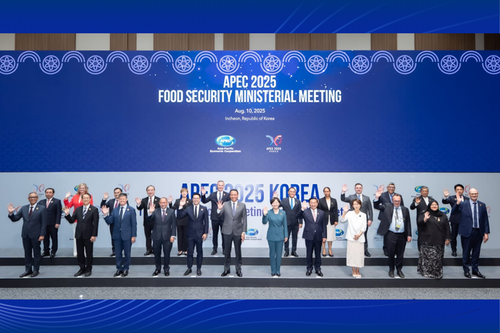 亚太经合组织呼吁加强全球粮食安全，共创可持续未来 - ảnh 1