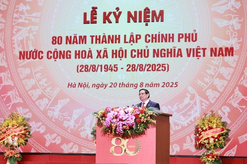 政府及为国为民80年征程 - ảnh 1