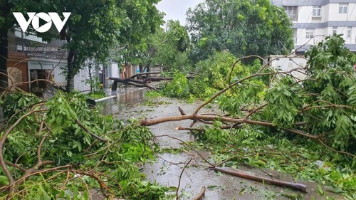 台风“剑鱼”造成3人死亡、10人受伤 - ảnh 1