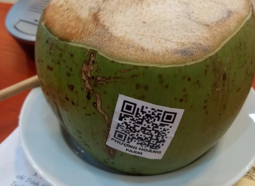 数字化转型提升庆和省山区农产品价值 - ảnh 2