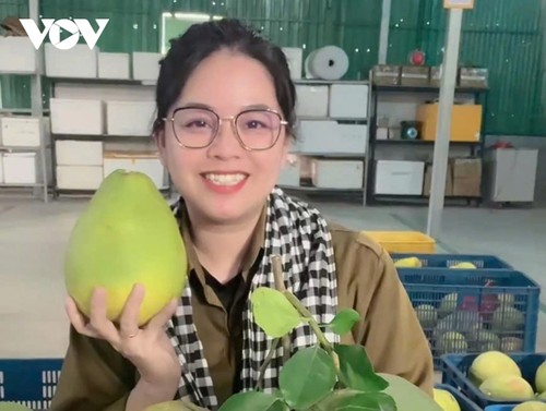 数字化转型提升庆和省山区农产品价值 - ảnh 3