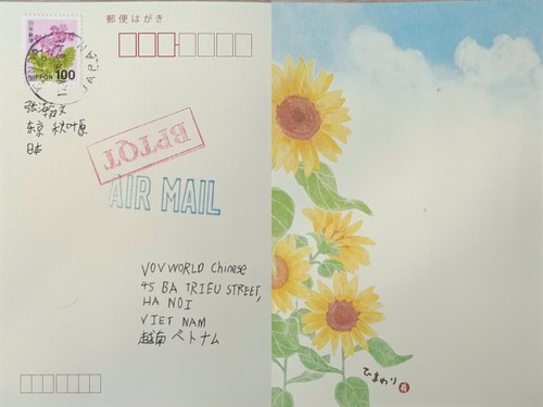 电波里的越南 - ảnh 1