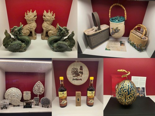 电波里的越南 - ảnh 3