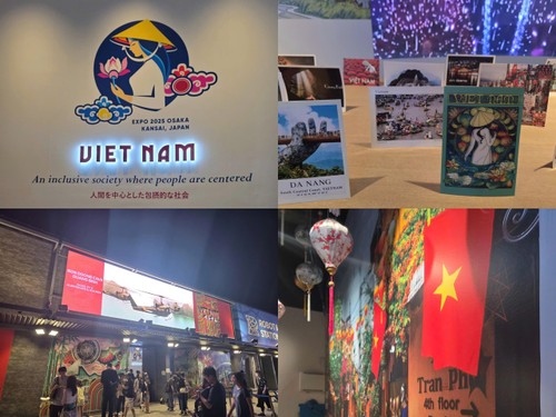 电波里的越南 - ảnh 2