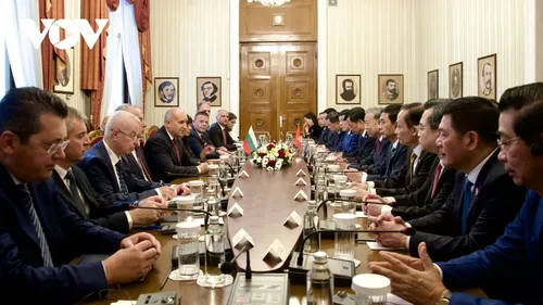 苏林夫妇对保加利亚进行正式访问 欢迎仪式举行 - ảnh 4