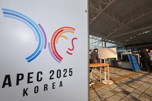 越南积极为APEC做出贡献 - ảnh 1