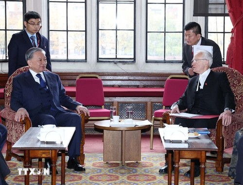 苏林会见英国上议院议长约翰•麦克福尔和英国下议院议长林赛•霍伊尔 - ảnh 1