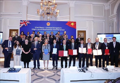 苏林出席越英高级别经济会议并发表讲话 - ảnh 2