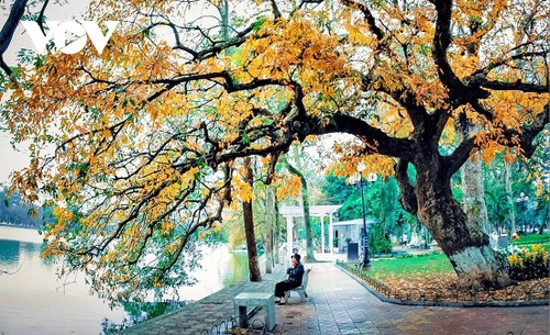 河内跻身亚洲五大幸福城市 - ảnh 1