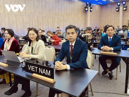 胡志明市成为联合国教科文组织创意城市网络成员 - ảnh 1