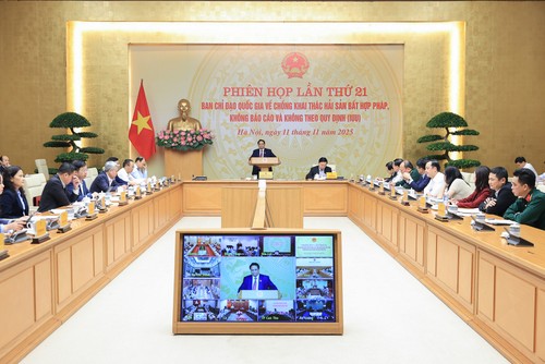 总理指示强有力实施打击IUU捕捞高峰月行动 - ảnh 1