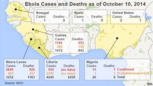 Perkembangan wabah Ebola semakin berbahaya - ảnh 1