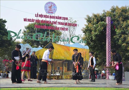 Nord-Ouest : la bauhinie en fête - ảnh 1