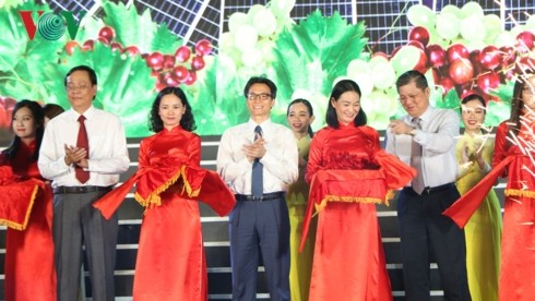 Ouverture du Festival de raisin et de vin de Ninh Thuân 2019 - ảnh 1