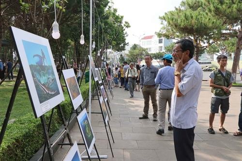 Ouverture du 24e festival de photos d’art du Centre méridional et du Tây Nguyên - ảnh 1