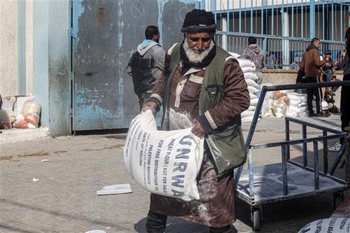 L’OMS demande un couloir humanitaire vers la bande de Gaza - ảnh 1