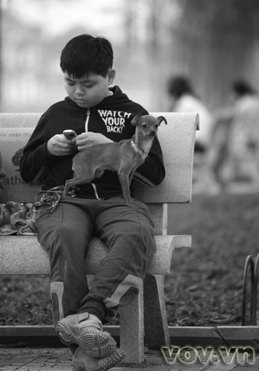 Hanoi, meine Heimatstadt - ảnh 14