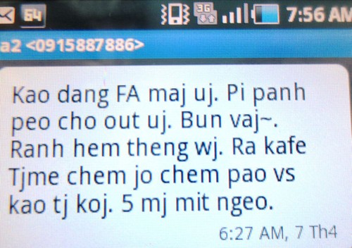 Junge Vietnamesen und die vietnamesische Sprache zur Zeit der Welteingliederung - ảnh 1