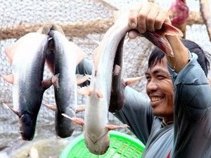 Neugestaltung der “Neuen Genossenschaften” im Mekong-Delta - ảnh 1