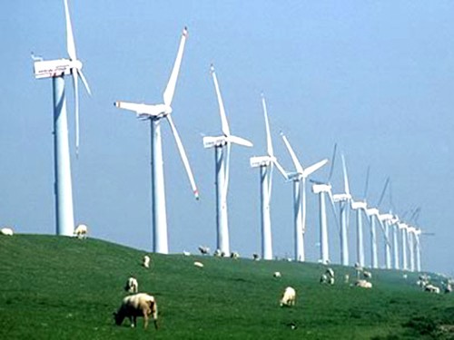 Unternehmensforum zum Kampf gegen Klimawandel - ảnh 1