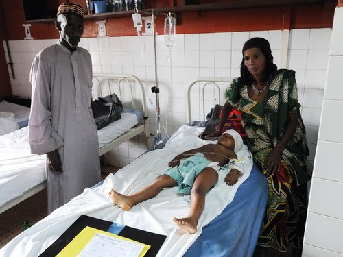 UN-Sicherheitsrat billigt Militäreinsatz in Zentralafrikanischer Republik - ảnh 1