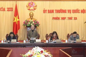 Neue Verfassung soll rechtzeitig, einheitlich und effizient umgesetzt werden - ảnh 1