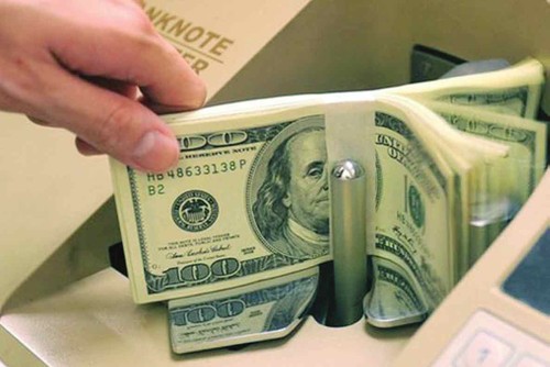 Auslandsvietnamesen tragen zum Aufbau des Landes bei - ảnh 1